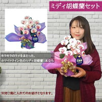 父の日プレゼント胡蝶蘭お祝い鉢開店祝い高級造花光触媒10本白アイビーグリーン観葉植物開業開院ギフト母の日還暦喜寿古希百寿白寿楽屋芸能人花あす楽誕生日ココキャンフラワー