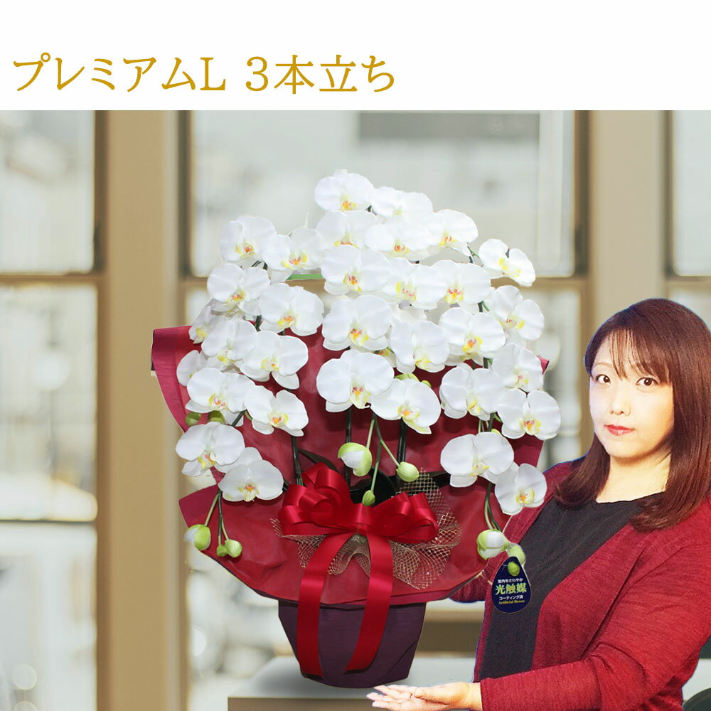 胡蝶蘭 ギフト 花 3本立ち 紅白 黄色 お祝い 新版 プレゼント 白 開店 開業 開院 誕生日 古希 米寿 還暦 傘寿 百寿 光触媒 お供え 開店祝い 敬老の日 エステ 仏花 就任 造花 札 イエロー 木札 コチョウラン 移転