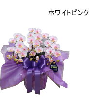 胡蝶蘭お供えミディ仏花お盆初盆新盆3本立ちホワイトイエロー黄色ピンクココキャンフラワー