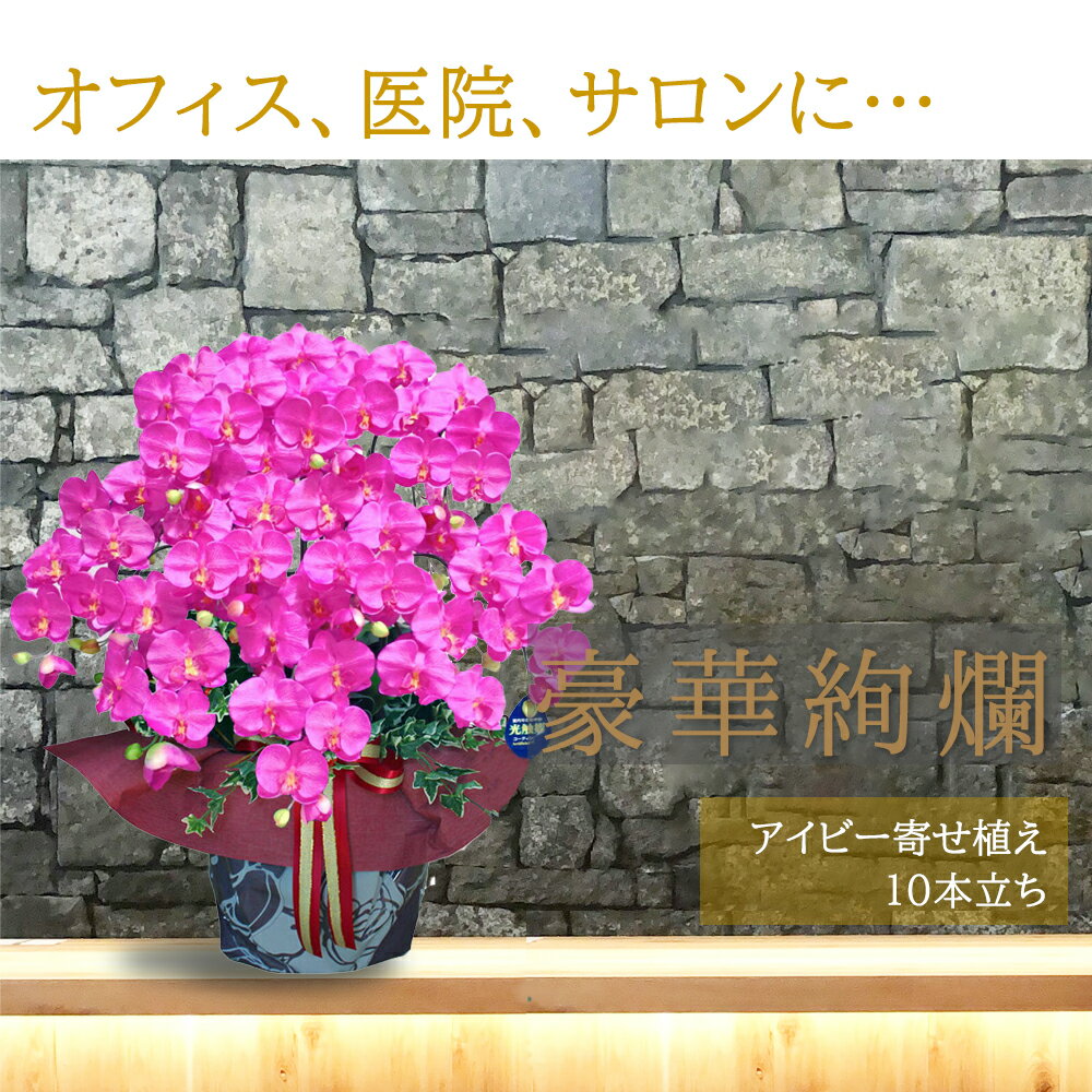 【2,100円OFFクーポン対象】60代 誕生日 ギフト プレゼント 胡蝶蘭 紫 花 送料無料 父の日 傘寿 祝い 開業 造花 開店 光触媒 10本 ワイン アイビー お祝い 社長就任 本部長 移転 栄転 事務所 引越し 居酒屋 コチョウラン お買い物マラソン