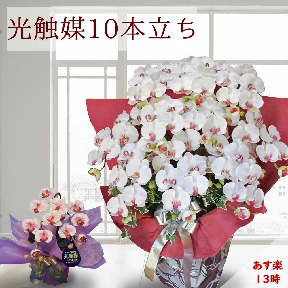 代引不可 母の日 鉢花 造花 大きい 胡蝶蘭 お祝い アレンジメント 鉢 開店祝い 高級 光触媒 10本 白 グリーン 観葉植物 開業 開院 ギフト 喜寿 古希 百寿 白寿 楽屋 芸能人 塾 開校 誕生日 飾り 木札 ココキャンフラワー 売り尽くしセール Mercafarma Com Gt 代引不可 母の日 鉢花 造花 大きい 胡蝶蘭 お祝い アレンジメント 鉢 開店祝い 高級 光触媒 10本 白 グリーン 観葉植物 開業 開院 ギフト 喜寿 古希 百寿 白寿 楽屋 芸能人 塾 開校 誕生日 飾り 木札 ココキャンフラワー 売り尽くしセール Mercafarma Com Gt