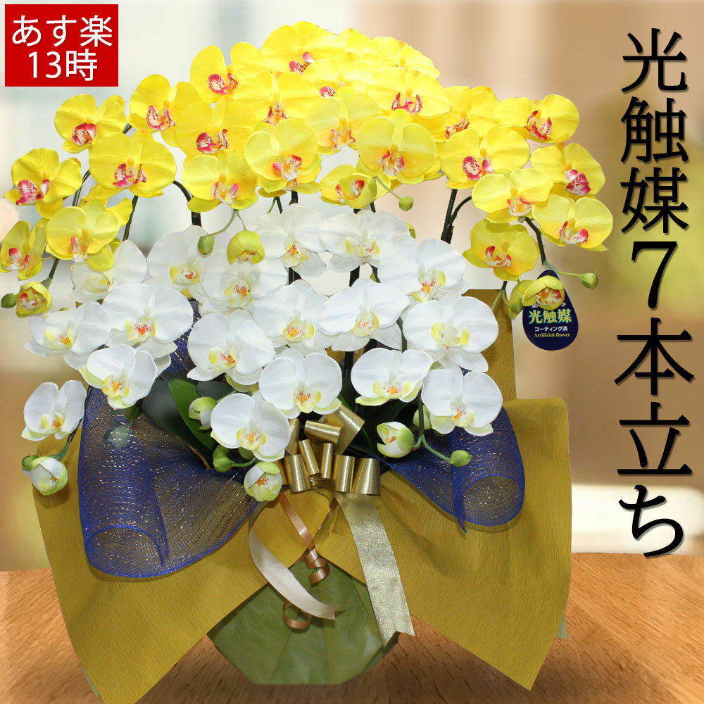 時間指定不可 胡蝶蘭 光触媒 造花 ギフト 黄色 お祝い サロン プレゼント 7本 ミックス イエロー ホワイト ココキャンフラワー 鉢植え 古希 還暦 喜寿 インテリア オフィス 受付 社長 秘書 全国 九州 北海道 おしゃれ 誕生日 送料込 Edl Uae Ae 時間指定不可 胡蝶蘭 光触媒 造花 ギフト 黄色 お祝い サロン プレゼント 7本 ミックス イエロー ホワイト ココキャンフラワー 鉢植え 古希 還暦 喜寿 インテリア オフィス 受付 社長 秘書 全国 九州 北海道 おしゃれ 誕生日 送料込 Edl Uae Ae