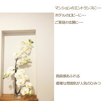 プレゼント友人引っ越し祝い送料無料あす楽マンション胡蝶蘭ガラス花瓶お歳暮お祝い花造花光触媒ホワイト花器グラスギフト引越しホテルロビーあなたの番ですインテリアコチョウランこちょうらんココキャンフラワー