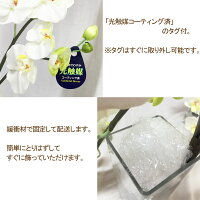プレゼント友人引っ越し祝い送料無料あす楽マンション胡蝶蘭ガラス花瓶お歳暮お祝い花造花光触媒ホワイト花器グラスギフト引越しホテルロビーあなたの番ですインテリアコチョウランこちょうらんココキャンフラワー