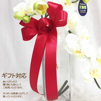 プレゼント友人引っ越し祝い送料無料あす楽マンション胡蝶蘭ガラス花瓶お歳暮お祝い花造花光触媒ホワイト花器グラスギフト引越しホテルロビーあなたの番ですインテリアコチョウランこちょうらんココキャンフラワー