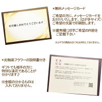 プレゼント友人引っ越し祝い送料無料あす楽マンション胡蝶蘭ガラス花瓶お歳暮お祝い花造花光触媒ホワイト花器グラスギフト引越しホテルロビーあなたの番ですインテリアコチョウランこちょうらんココキャンフラワー