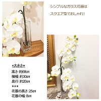 プレゼント友人引っ越し祝い送料無料あす楽マンション胡蝶蘭ガラス花瓶お歳暮お祝い花造花光触媒ホワイト花器グラスギフト引越しホテルロビーあなたの番ですインテリアコチョウランこちょうらんココキャンフラワー