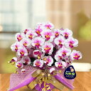 母の日 鉢植え 珍しい プレゼント ギフト 花 古希 紫 喜寿 誕生日 光触媒 バー 1周年 お祝い クラブ Bar 開店 胡蝶蘭 造花 キラキラ ラメ ミニ 居酒屋 カウンター ホワイト ワイン ミディ 3本 開業 レストラン スナック 敬老の日 お中元 サマーギフト