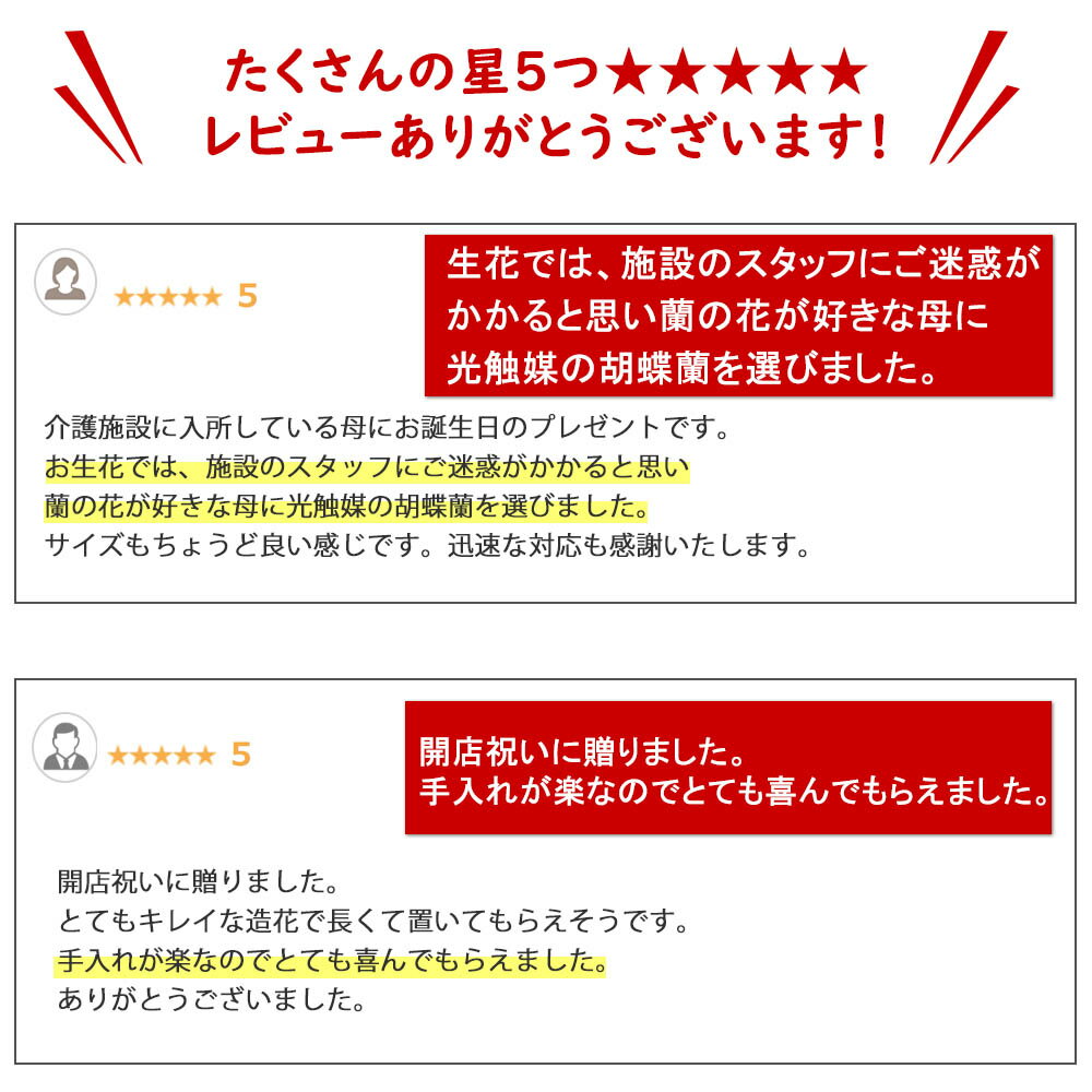 母の日 胡蝶蘭 ミディ 造花 光触媒 開店祝い ミニ サロン ギフト プレゼント 色 白 赤 青 ブルー ピンク ワイン 黄 紫 ワイン 父の日 お供え 2本 開院 喜寿 誕生日 結婚 カード 送料無料 花 敬老の日 3