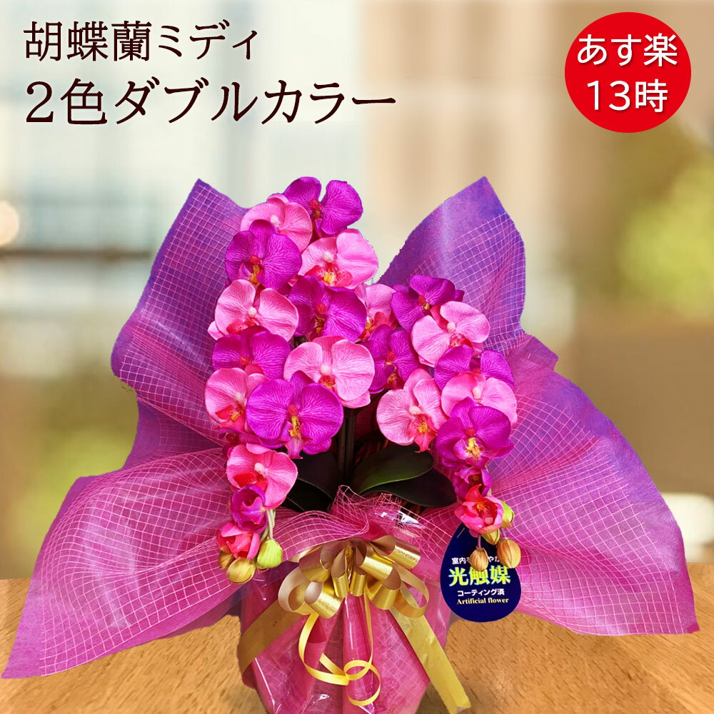 【スーパーSALE 割引】 鉢植え 誕生日 プレゼント 胡蝶蘭 ミニ 花 開店 お祝い ミディ 造花 ギフト 光触媒 結婚 ダブルカラー ワイン ピンク おしゃれ かわいい 2色 コチョウラン バースデー ココキャンフラワー 敬老の日