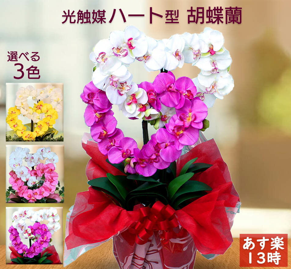 母の日 胡蝶蘭 鉢植え ギフト 花 アレンジメント 送料無料 古希 造花 光触媒 開業祝い プレゼント おしゃれ 開店 黄色 ピンク ハート 造花 サロン インテリア 喜寿 米寿 内祝い 敬老の日