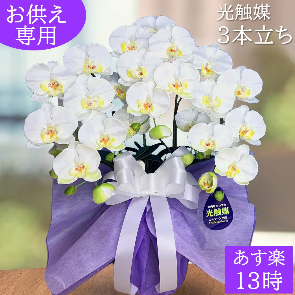 週間ランキング1位獲得 造花 仏花 胡蝶蘭 お供え お盆 初盆 新盆 光触媒 白 枯れない 水やり不要 3本立ち ホワイト イエロー 黄色 M お悔やみ 仏壇 御供 アーティフィシャルフラワー フューネラル ココキャンフラワー 絶対一番安い Gardendesignandlandscapes Com 週間ランキング1位獲得 造花 仏花 胡蝶蘭 お供え お盆 初盆 新盆 光触媒 白 枯れない 水やり不要 3本立ち ホワイト イエロー 黄色 M お悔やみ 仏壇 御供 アーティフィシャルフラワー フューネラル ココキャンフラワー 絶対一番安い Gardendesignandlandscapes Com