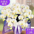 お供え 花 鉢 お彼岸 お盆 初盆 お悔やみ 胡蝶蘭 造花 5本 光触媒 白 黄色 三回忌 ペット 虹の橋 ホワイト イエロー 光触媒 フューネラル 仏花 お別れ おくやみ 七回忌 一周忌 法要 仏壇 お墓 花粉無し コチョウラン 四十九日