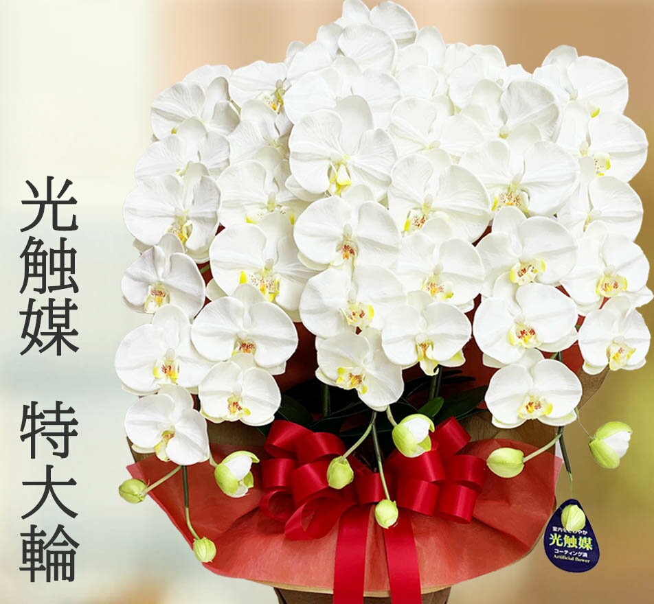 胡蝶蘭 光触媒 造花 大輪3本立ち お祝い プレゼント 花 贈り物 お誕生日 開店祝い 開業祝い 移転祝い 就任祝い 昇進祝い 還暦 古希 喜寿 傘寿 母の日 白 黄色 特大 大きい お供え 敬老の日 豪華 こちょうらん 木札 立て札