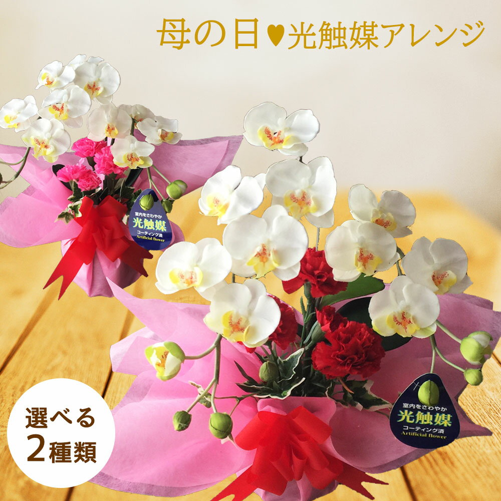 造花 カーネーション 赤 母の日 プレゼント ギフト ミディ胡蝶蘭 白 アレンジメント プレゼント 