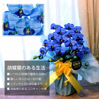 \まだ間に合う!200円OFFクーポン対象/母の日ギフトプレゼント開店祝い花ミニ胡蝶蘭造花青ミディブルーエレガンス2本光触媒開店お祝い花還暦古希米寿コチョウランおしゃれ誕生日新築祝い