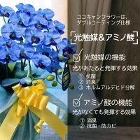 \まだ間に合う!200円OFFクーポン対象/母の日ギフトプレゼント開店祝い花ミニ胡蝶蘭造花青ミディブルーエレガンス2本光触媒開店お祝い花還暦古希米寿コチョウランおしゃれ誕生日新築祝い