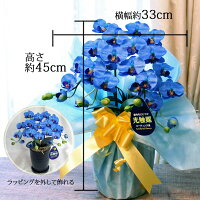\まだ間に合う!200円OFFクーポン対象/母の日ギフトプレゼント開店祝い花ミニ胡蝶蘭造花青ミディブルーエレガンス2本光触媒開店お祝い花還暦古希米寿コチョウランおしゃれ誕生日新築祝い