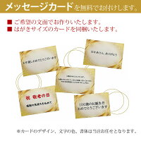 \まだ間に合う!200円OFFクーポン対象/母の日ギフトプレゼント開店祝い花ミニ胡蝶蘭造花青ミディブルーエレガンス2本光触媒開店お祝い花還暦古希米寿コチョウランおしゃれ誕生日新築祝い