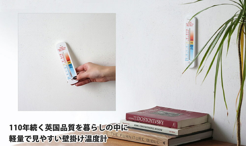 Brannan ブラナン プラスチック ウォール サーモメーター 155mm コンフォート 3776155C【メール便利用可能】 [ イギリス 軽量 温度管理 屋外 屋内 ガーデン インテリア ] [2]