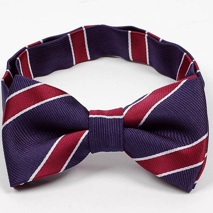 蝶ネクタイ 子供用 ボウタイ ストライプ柄 ネイビーブルー ベース ワインレッド ストライプ bt201902_11　父の日