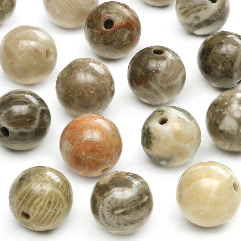 【粒販売】インドネシア産 フォシルコーラル 丸玉 8mm【5粒販売】▽ サンゴ 化石 化石珊瑚 Fossil coral 3月の誕生石 ラウンド 丸ビーズ 粒売...