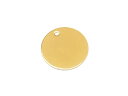 14KGF チャーム コインプレート 13mm【1コ販売】▽ パーツ アクセサリー クラフト 金具 USA製 14Kゴールドフィルド 14金ゴールドフィルド 1...