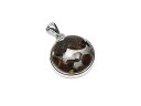 ケニア産 パラサイト セリコ隕石 ペンダントトップ 18mm No.664【1点もの】▽ パラサイト隕石 石鉄隕石 天然隕石 メテオライト Meteorite ...