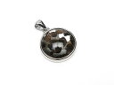ケニア産 パラサイト セリコ隕石 ペンダントトップ 18mm No.673【1点もの】▽ パラサイト隕石 石鉄隕石 天然隕石 メテオライト Meteorite ...
