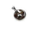 ケニア産 パラサイト セリコ隕石 ペンダントトップ 18mm No.675【1点もの】▽ パラサイト隕石 石鉄隕石 天然隕石 メテオライト Meteorite ...