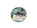 アバロンシェル コイン 35mm【1コ販売】