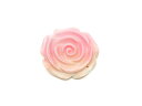 バハマ諸島のカリブ海沖で取れる人気のピンクカラーの貝、クイーンコンクシェルの薔薇です。ピンクとクリームホワイトが美しく混ざり合った優しいカラーが魅力的です。クイーンコンクシェルに美しい薔薇の彫刻が彫られています。艶がありカラーコントラストも美しくアクセサリーのアクセントとしてもお勧めです！特記すべき項目※粒により茶色の内包物、目立つカケ、原石由来の空孔が入る場合がございます。※粒により薄いもの等、発色が異なりますが、選定は無作為となります。材 質シェル（母貝/ピンクシェル/クイーンコンクシェル）サイズ約32.6-36.0mm（±0.3mm）厚さ 約6.0-9.0mm（±0.3mm）穴径 約1mm（上部1つ穴）数・量 1コになります 【当店について】「宝石の町」と呼ばれる山梨県甲府市にて天然石ビーズの卸売業を営んでおります。当店では、国内業者を挟まず海外の工場に専属バイヤーが直接出向くことにより、低価格を実現しております。天然石ビーズ以外にも自作のハンドメイドアクセサリー作成に必要な金具、パーツも多数取り扱っております。関連ワード：天然石、パワーストーン、パワ-スト-ン、ビーズ、半貴石、ビーズストーン、ストーン、数珠、珠数、念珠、手作り数珠、数珠パーツ、念珠パーツ、ブレスレット、ブレス、ストラップ、ネックレス、ペンダント、キーホルダー、手作り、手づくり、ハンドメイド、ハンドメイド用、ハンドメイドパーツ、手芸、作製、作成、材料、素材、部品、副資材、アクセサリー、アクセサリーパーツ、アクセ、パーツ、ビーズパーツ、オリジナル、ビーズアクセサリー、オリジナルアクセサリー、小物、雑貨、補修、修理、連売り、まとめ売り、ばら売り、バラ売り、粒売り、玉売り、1粒、1玉、セット、ハンドメード、カスタム、デザイン、リメイク、アレンジ、卸売り、卸、仕入れ、ギフト、プレゼント、贈り物、パーティー、フォーマル、カジュアル、ビジネス、かわいい、可愛い、おしゃれ、オシャレ、シンプル、デザイン、冠婚葬祭、誕生日祝い、結婚祝い、出産祝い、内祝い、お返し、引き出物、入園祝い、入学祝い、就職祝い、昇進祝い、退職祝い、引越し祝い、新築祝い、開店祝い、お見舞い、快気祝い、記念日、仏事、弔事、香典返し、ひなまつり、新生活、こどもの日、母の日、父の日、お中元、敬老の日、ハロウィン、クリスマス、お歳暮、年越し、お正月準備、バレンタインデー、ホワイトデー、父の日、あす楽対応クイーンコンクシェル 薔薇彫刻 35mm【1コ販売】