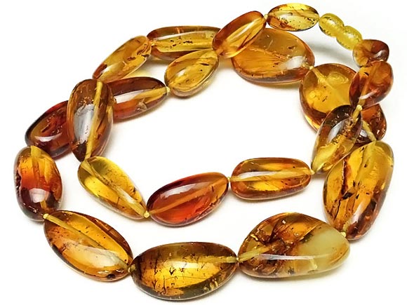 虫入りバルティックアンバー(琥珀) ネックレス No.2【1点もの】