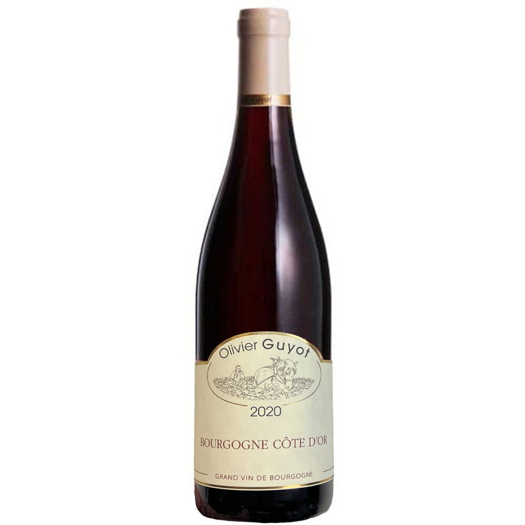 Bourgogne Cote d 039 Or Rouge 2020 ブルゴーニュ コート ドール ルージュ Olivier Guyot 化粧箱入り ワイン 赤ワイン プレゼント プチギフト お返し お祝い 内祝い 結婚祝い 出産祝い 出産内祝い 結婚内祝い おしゃれ 高級 人気 贈り物 引き出物 母の日 ギフト