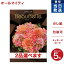 カタログギフト 送料無料 2品選べる BEAUBELLE (ボーベル) CRESSON (クレソン) 内祝い お祝い 新築 出産 結婚式 快気祝い お歳暮 御歳暮 引き出物 香典返し 満中陰志 ギフトカタログ 2つ選べる おしゃれ ゴルフコンペ 23000円台 結婚祝い 23,320円