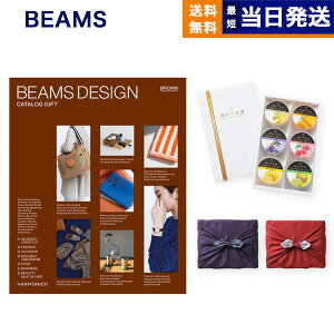 BEAMS DESIGN CATALOG GIFT BROWN ܶɥ¥꡼åȡ6ˡڵԡϤߡ  ե ץ쥼