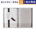 Hotman(ホットマン) 1秒タオル 「アニー」シリーズ ハンドタオル2枚(W-25004) 男性 結婚内祝い 祝い返し 誕生日プレゼント 誕生日祝いギフト ...