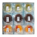 ふるや古賀音庵 (こがねあん) 風韻菓詰合せ(9個入) 内祝い お祝い お返し 手土産 結婚式 引き出物 新築祝い ギフト プレゼント お中元 敬老の日 ギフト