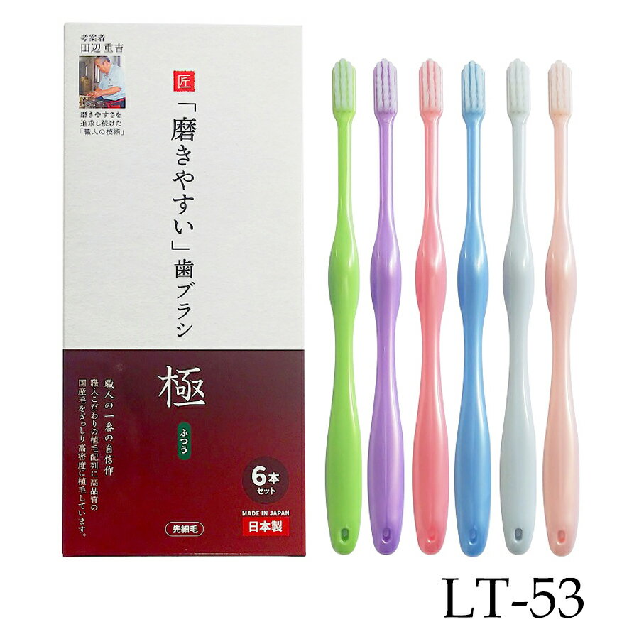 磨きやすい 歯ブラシ 極 ふつう 先細毛 6本セット LT-53 ライトピンク ピンク パープル ライトブルー ブルー グリーン 田辺重吉 職人技術 小さめヘッド ライフレンジ ハブラシ　あす楽対応