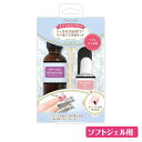 オフジェル リムーブキット ソフトジェル用 4点セット(リムーバー、ファイル、ウッドスティック、キューティクルオイル) AORK1000 セルフジェルオフ