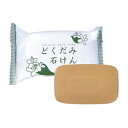 DNスキンソープ どくだみ石けん 130g 化粧石けん 洗顔石けん 植物油脂 無香料 無着色 無鉱物油 スキンケア 洗顔料 固形石けん 保湿 乾燥肌 地の塩社
