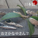【21日09:59まで10%オフクーポンあり】ネクタイピン ユニーク おもしろ タイバー 日本製 さかな 魚 釣り マニアも納得 夫婦 鮎 サンマ マグロ カツオ カニ ナマズ アンコウ マス 胸元を飾るリアル描写 プレゼント 送料無料 誕生日 クリスマス ギフト