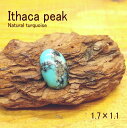 ターコイズ ルースパイライト【Ithaca peak(イサカピーク)1.7×1.1】【トルコ石】クラフト 材料 彫金 アクセサリー