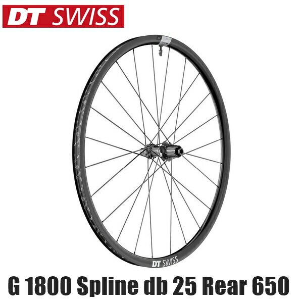 DTSwiss  WLR17400 G 1800 ץ饤 db 25 ꥢۥ 650B Spline ȥۥ Х