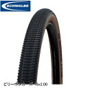 SCHWALBE シュワルベ ビリーボンカーズ 18x2.00 50-355 ブロンズ SW-11654375 マウンテンバイク用オフロードタイヤ