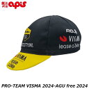 APIS アピス T07ADR.01VIS2024 キャップ PRO-TEAM VISMA 2024-AGU free 2024 サイクルキャップ