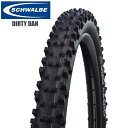 SCHWALBE シュワルベ ダーティダン ロード用チューブレスタイヤ タイヤ 自転車 ロードバイク パーツ(4)