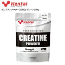 Kentai P^C Tvg NA`pE_[(K5113) v[300g X|[c g[jO ] [hoCN