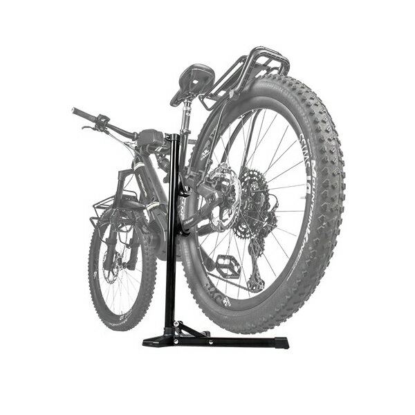 TOPEAK �ȥԡ��� �ե�å��她����� e���å� *21 ��ž�� ���ƥʥ󥹥������ TOD07900