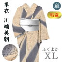 着物だいやす 634■小紋■単衣 伊と幸 古代印度木版更紗 川端美朝 特選 身長サイズ:XL【正絹】【仕立て上がり着物】ふくよか【送料無料】【中古】